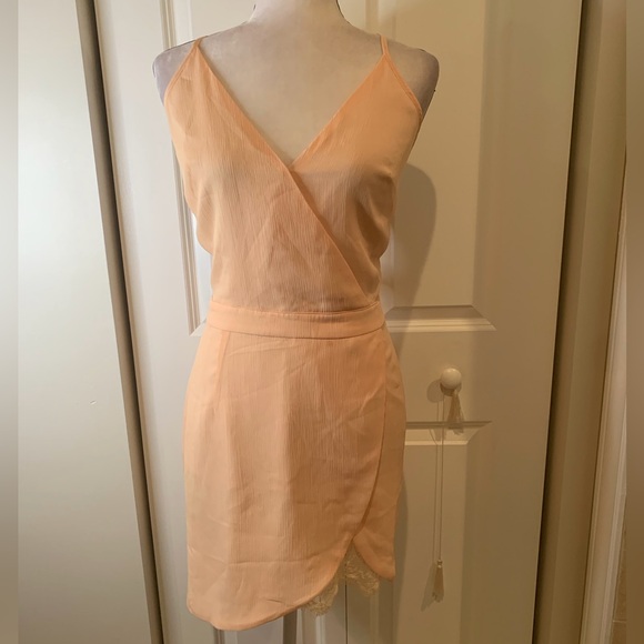 Lovers + Friends Revolve Soulmate Faux Wrap Mini Dress ๐ - Picture 4 of 8